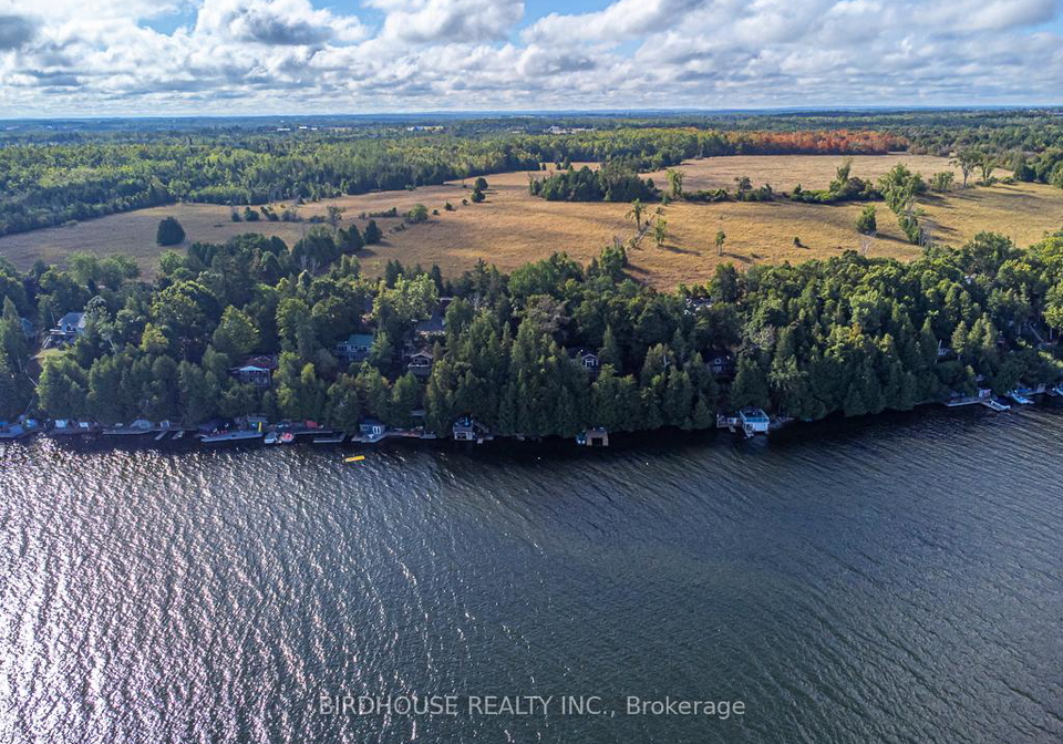 32-major-street-kawartha-lakes-ontario-x12976212