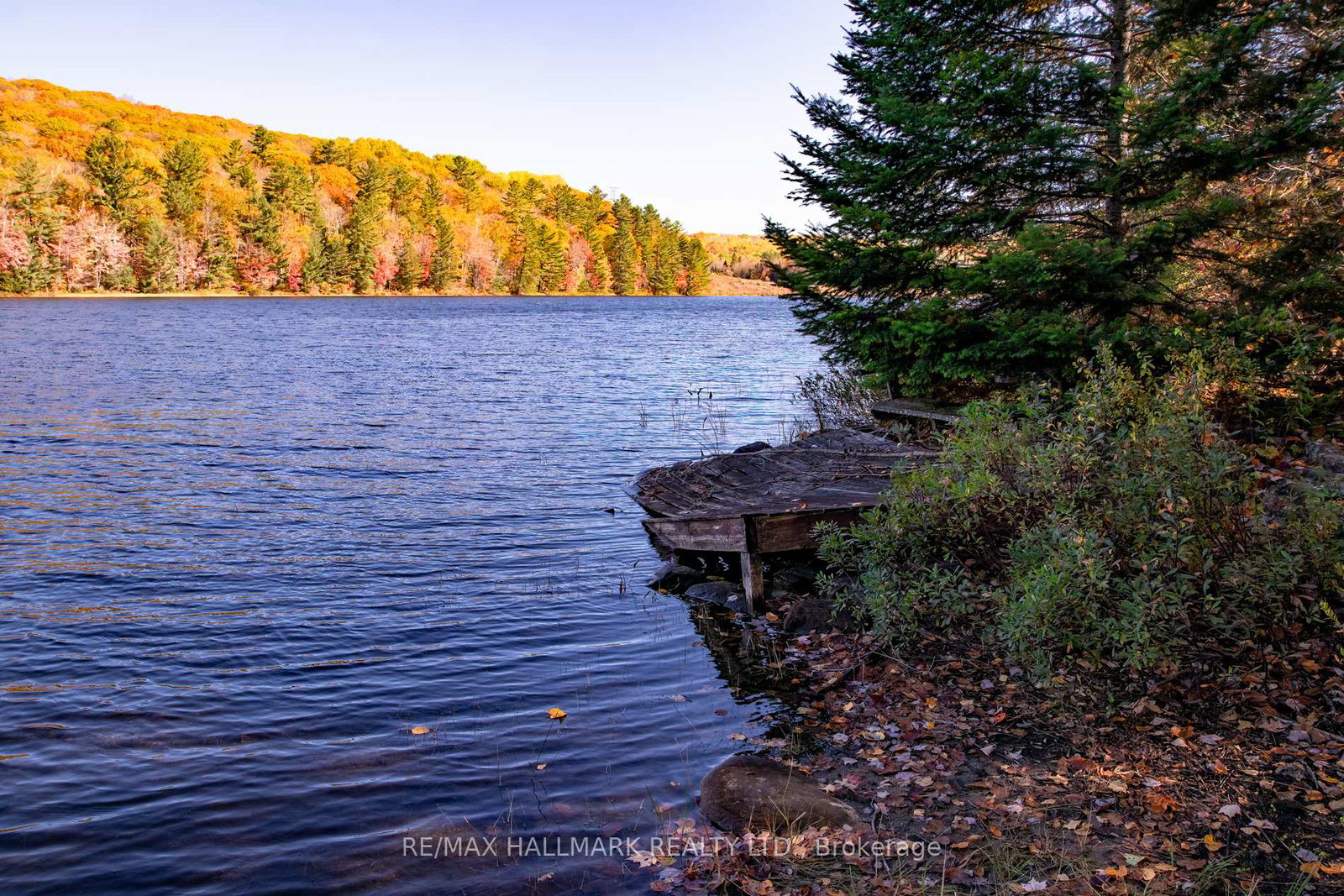 3517-haliburton-lake-road-dysart-et-al-ontario-x12977350