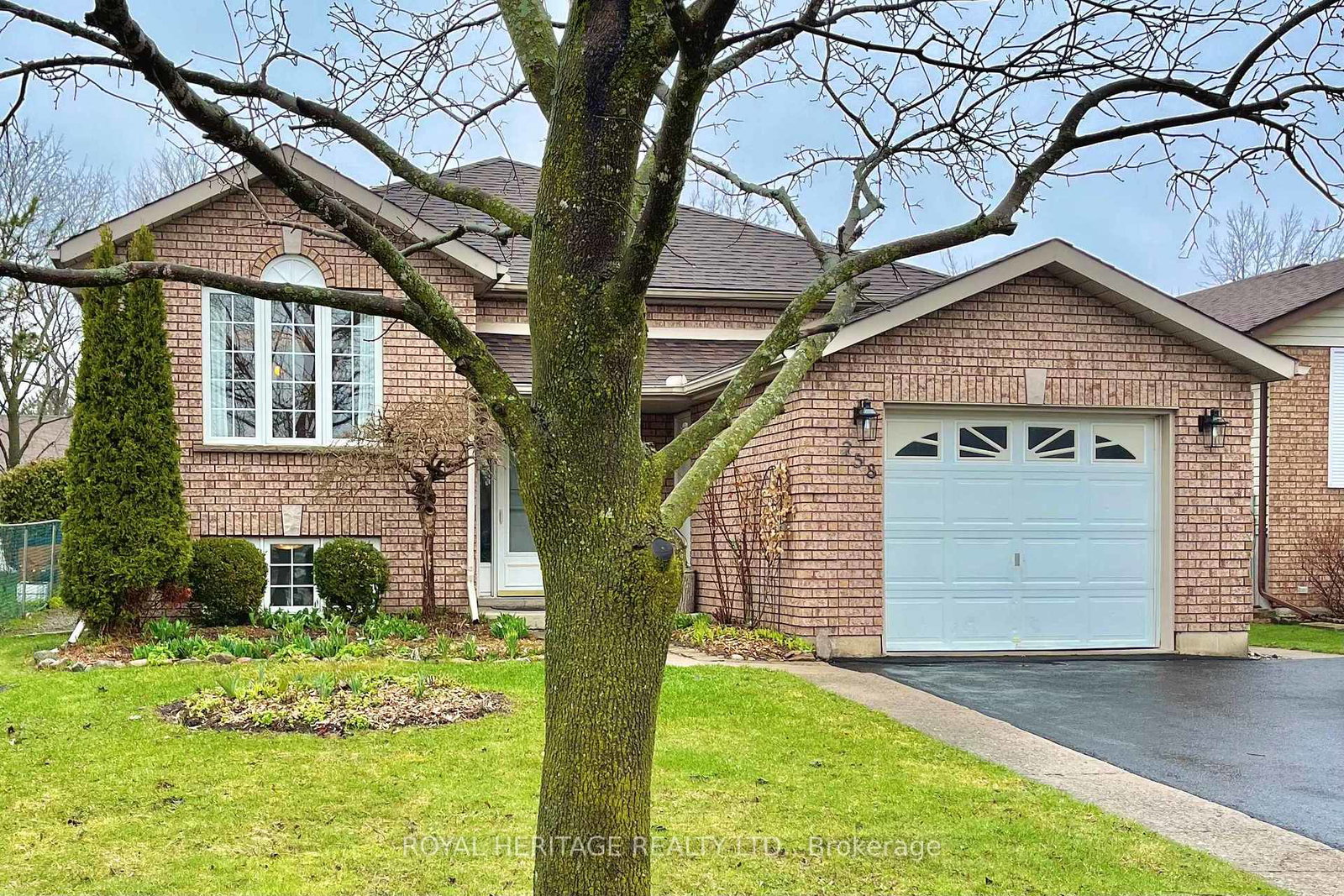 258-franmor-drive-peterborough-ontario-x12982200