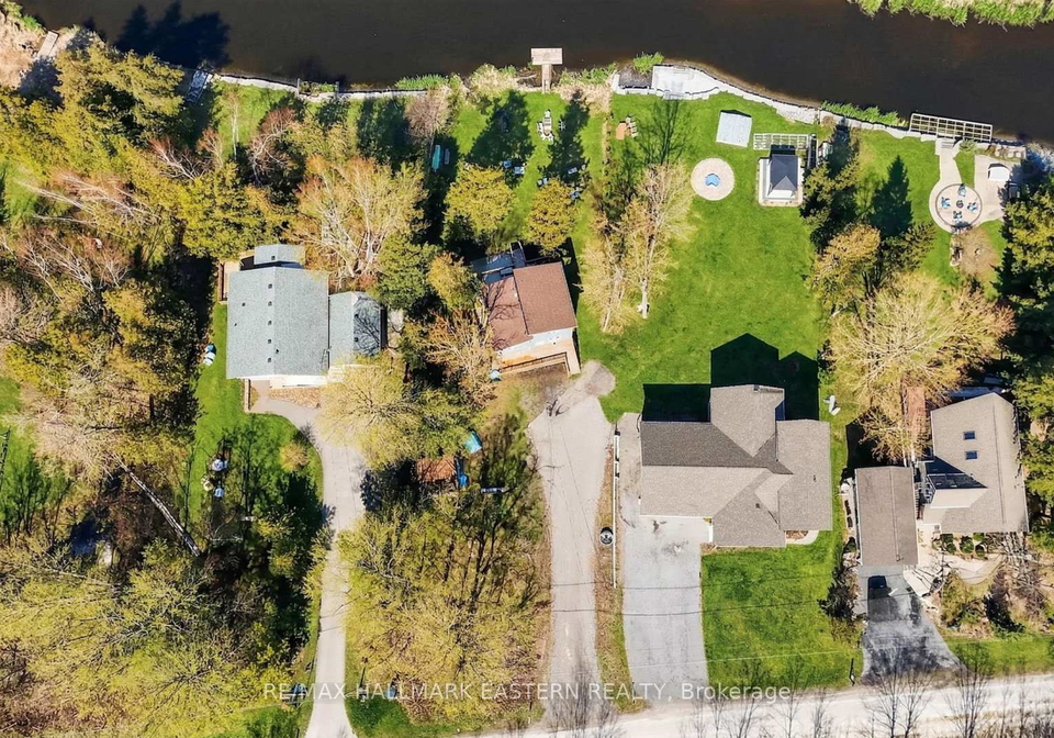 50-birch-point-drive-kawartha-lakes-ontario-x12984658