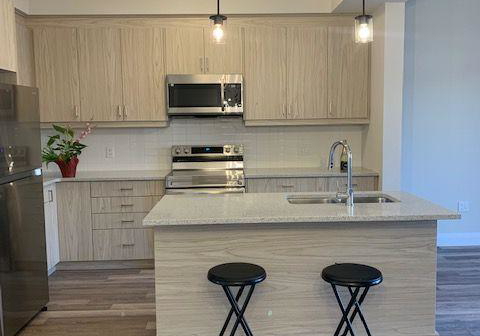 143-elgin-street-n-cambridge-ontario-x12984848