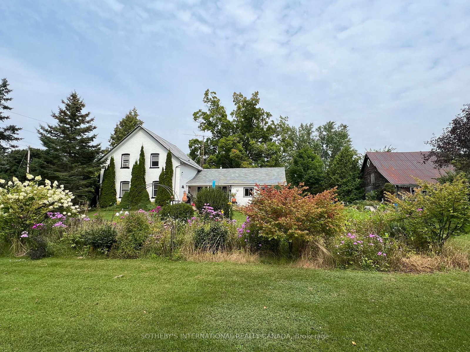 17-douglas-street-trent-hills-ontario-x12986834