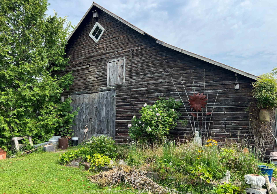 17-douglas-street-trent-hills-ontario-x12986834