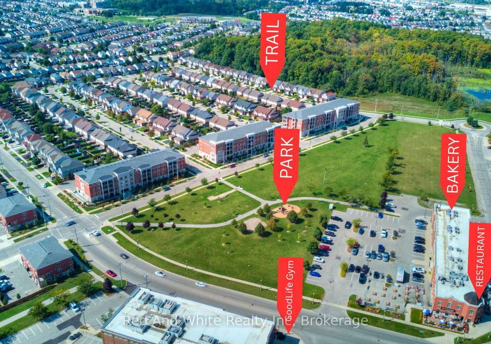 175-commonwealth-street-kitchener-ontario-x12991418
