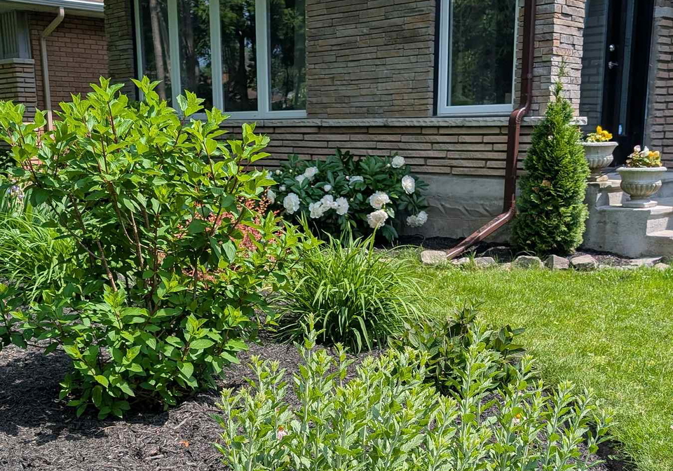 2105-bangor-street-ottawa-ontario-x12993544
