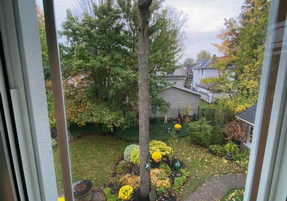 206-kent-street-port-colborne-ontario-x12999656