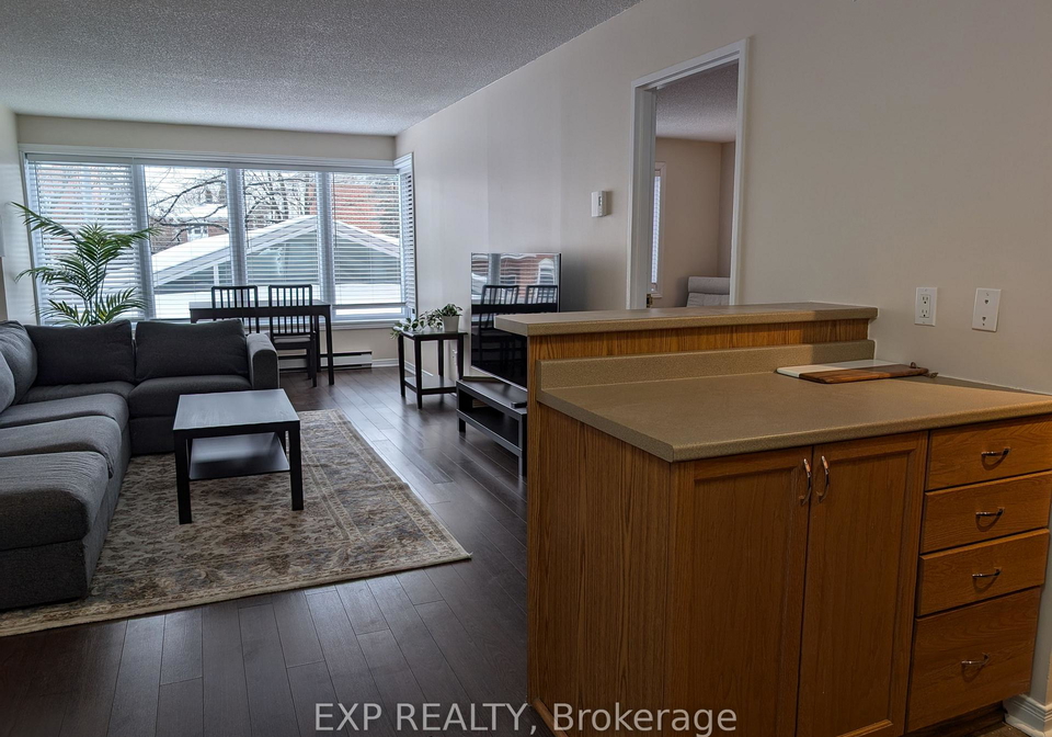 225-alvin-road-ottawa-ontario-x12999928