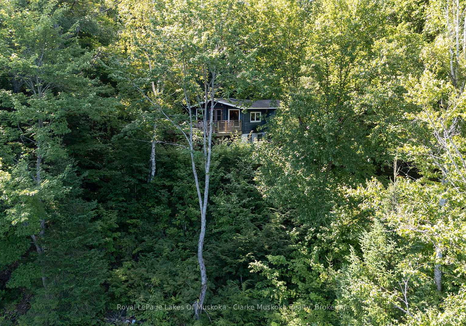 74-lioness-road-seguin-ontario-x13001706