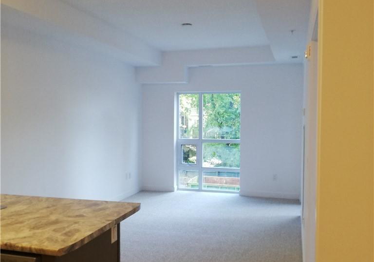 81-robinson-street-hamilton-ontario-x13003672