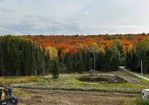 556-highway-518-w-perry-ontario-x13004876
