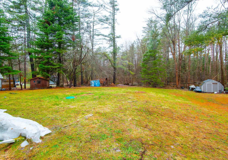 15-benson-boulevard-kawartha-lakes-ontario-x13005284