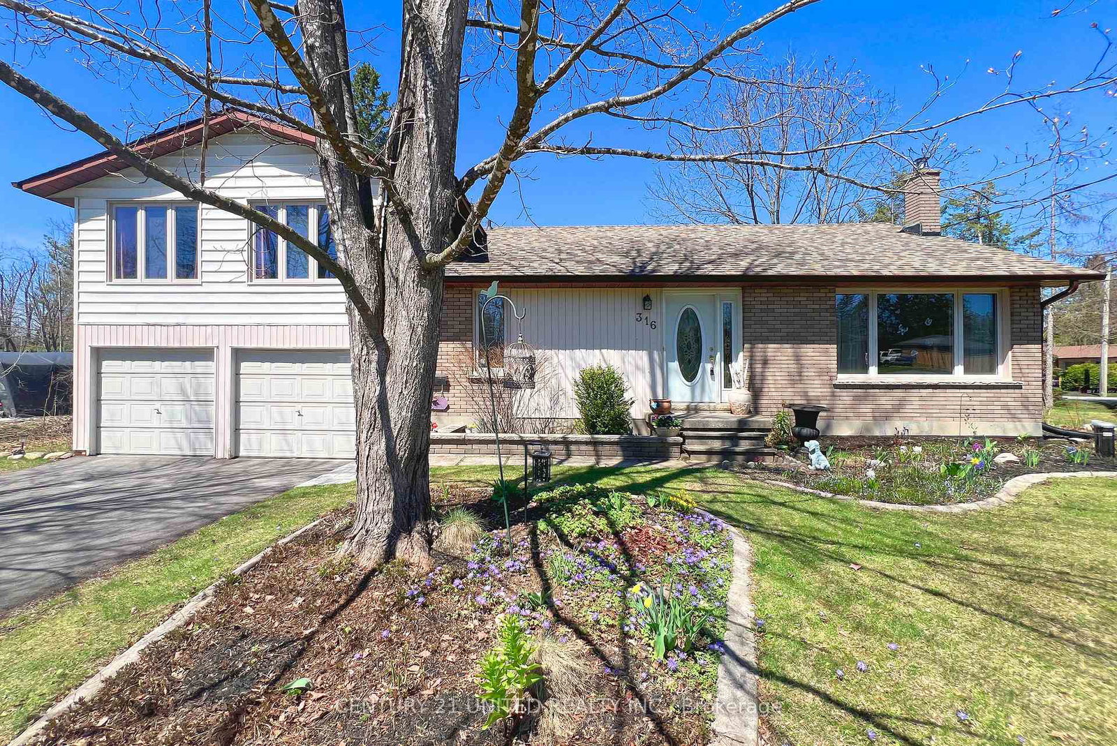 316-leon-avenue-selwyn-ontario-x13006396