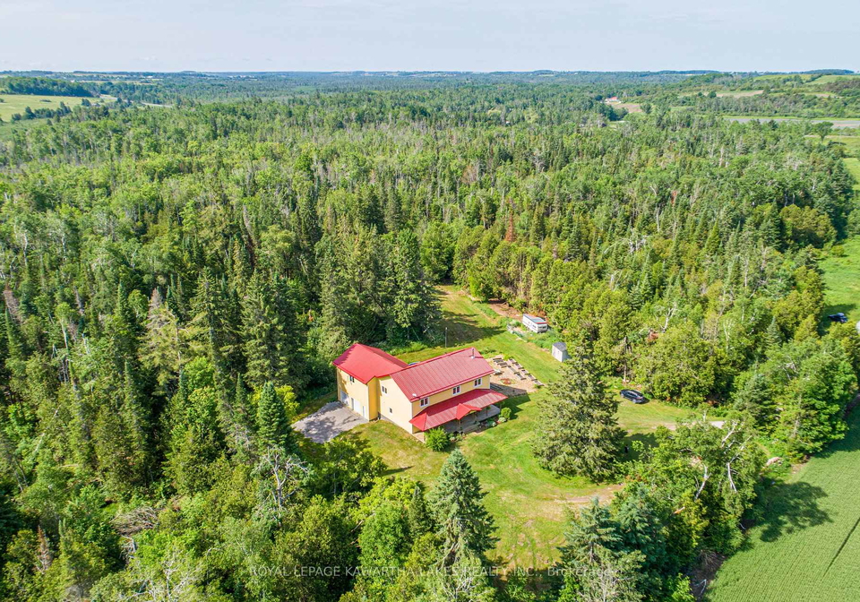 1752-highway-35-s-kawartha-lakes-ontario-x13008318