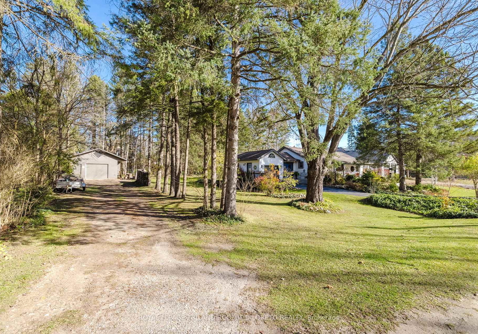 11-elmhurst-street-middlesex-centre-ontario-x13008500