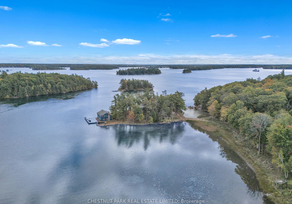 1-baby-tar-front-of-leeds-seeleys-bay-ontario-x13011126