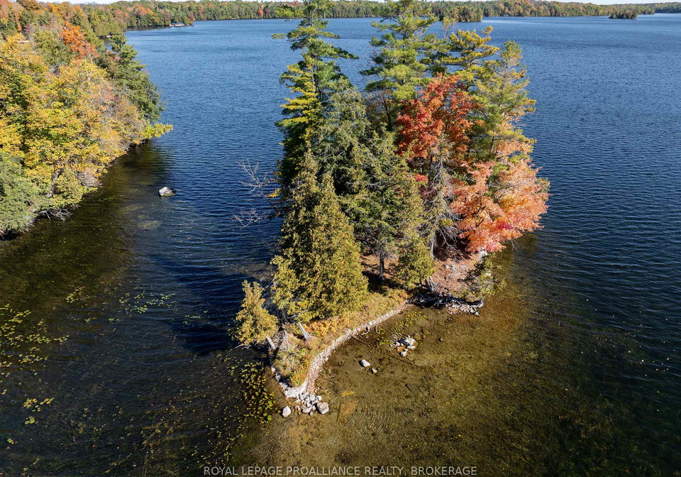 411-indian-lake-road-rideau-lakes-ontario-x13014572