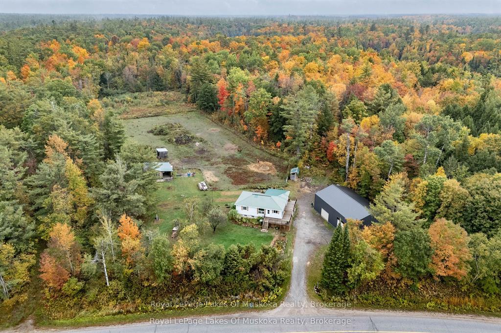 1741-doe-lake-road-gravenhurst-ontario-x13016256