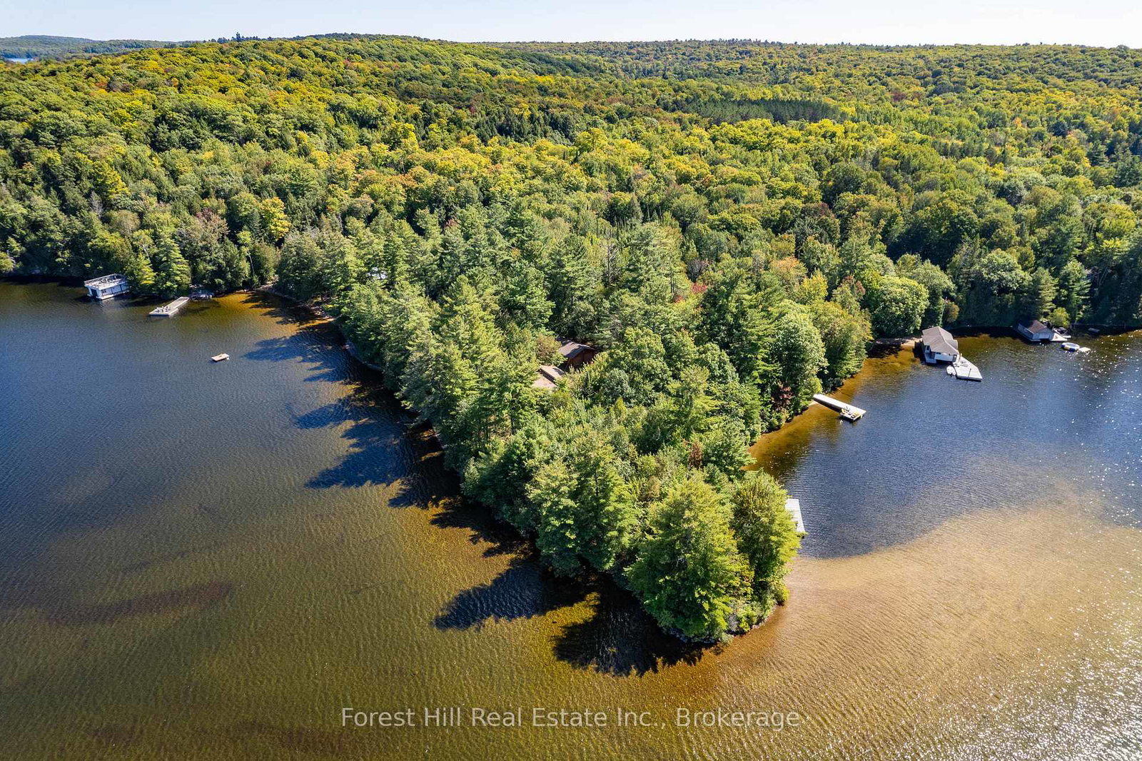 2991-muskoka-road-117-lake-of-bays-ontario-x13016736