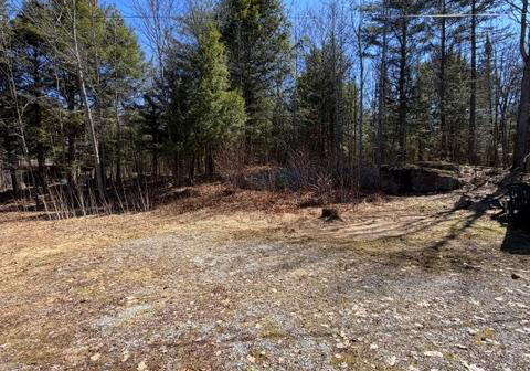 1464-buckslide-road-algonquin-highlands-ontario-x13021108