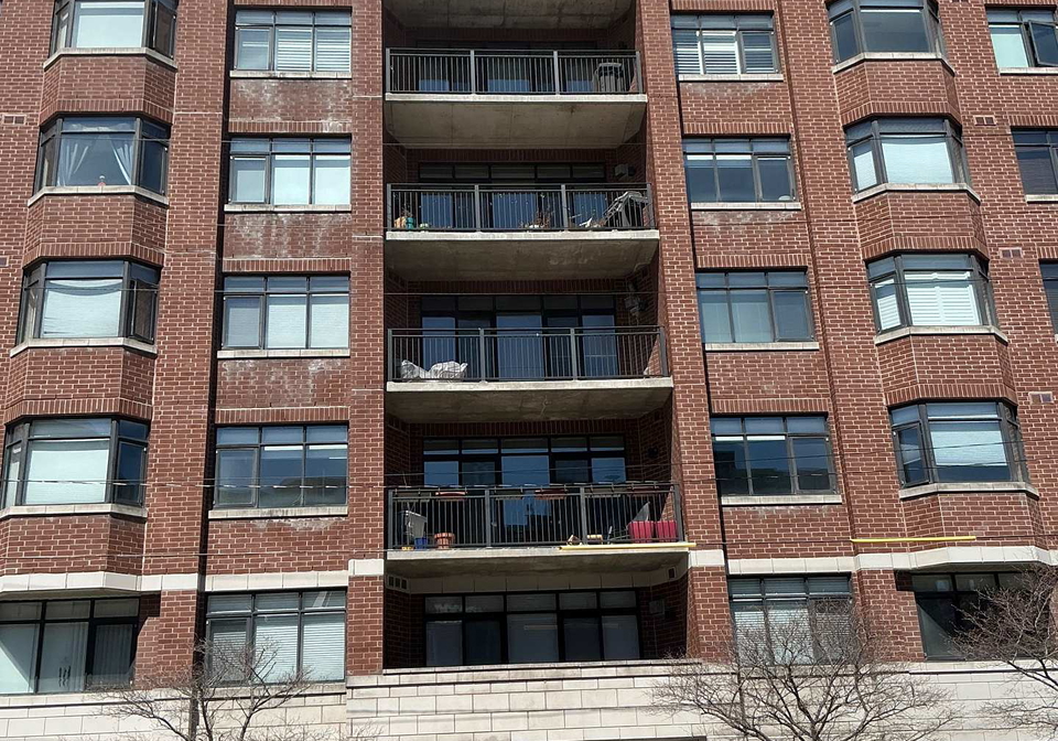 375-lisgar-street-w-ottawa-ontario-x13022676