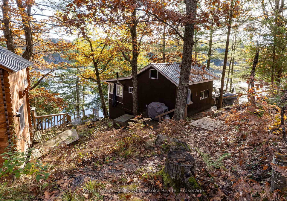 1060-skeleton-lake-3-road-muskoka-lakes-ontario-x13023930