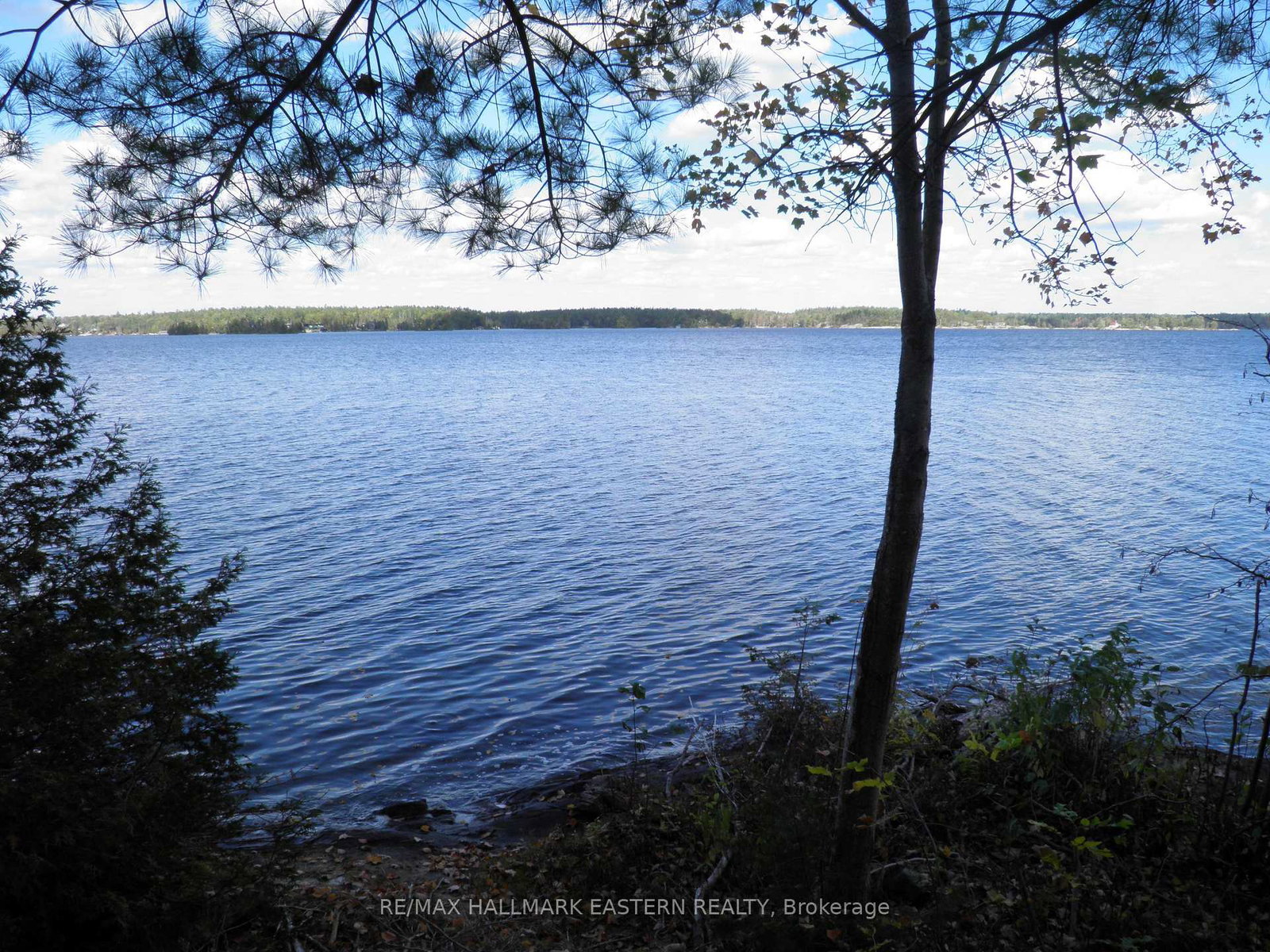 1420-island-76-trent-lakes-ontario-x13027334