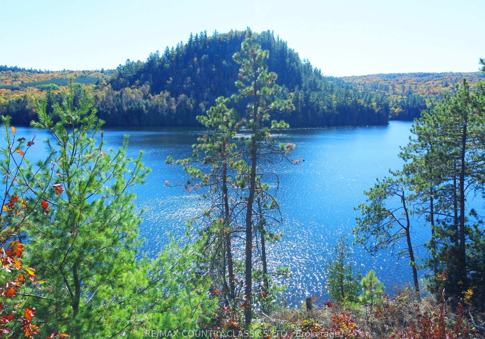 738-dam-lake-road-madawaska-valley-ontario-x13028094