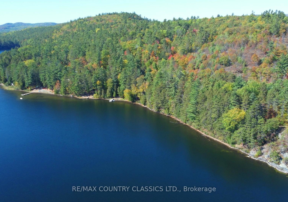 738-dam-lake-road-madawaska-valley-ontario-x13028094