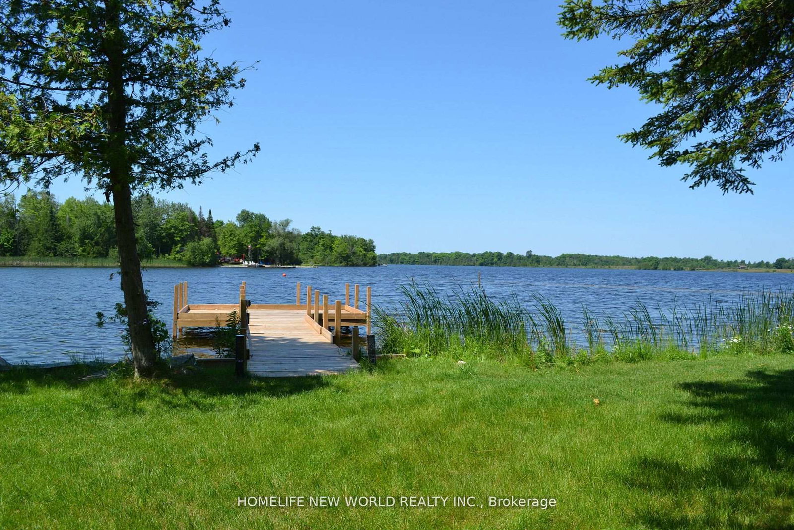 1391-portage-road-kawartha-lakes-ontario-x13028966