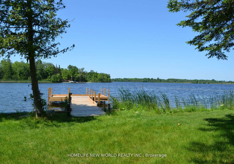 1391-portage-road-kawartha-lakes-ontario-x13028966
