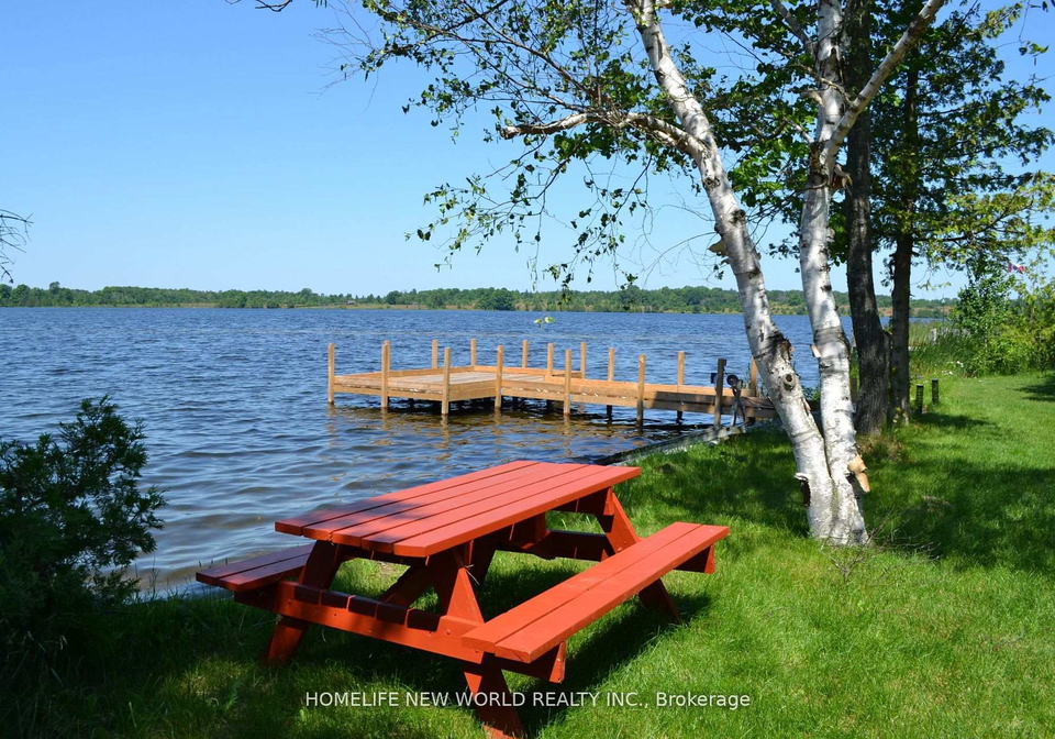 1391-portage-road-kawartha-lakes-ontario-x13028966