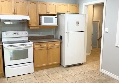 1101-harrogate-drive-hamilton-ontario-x13030646