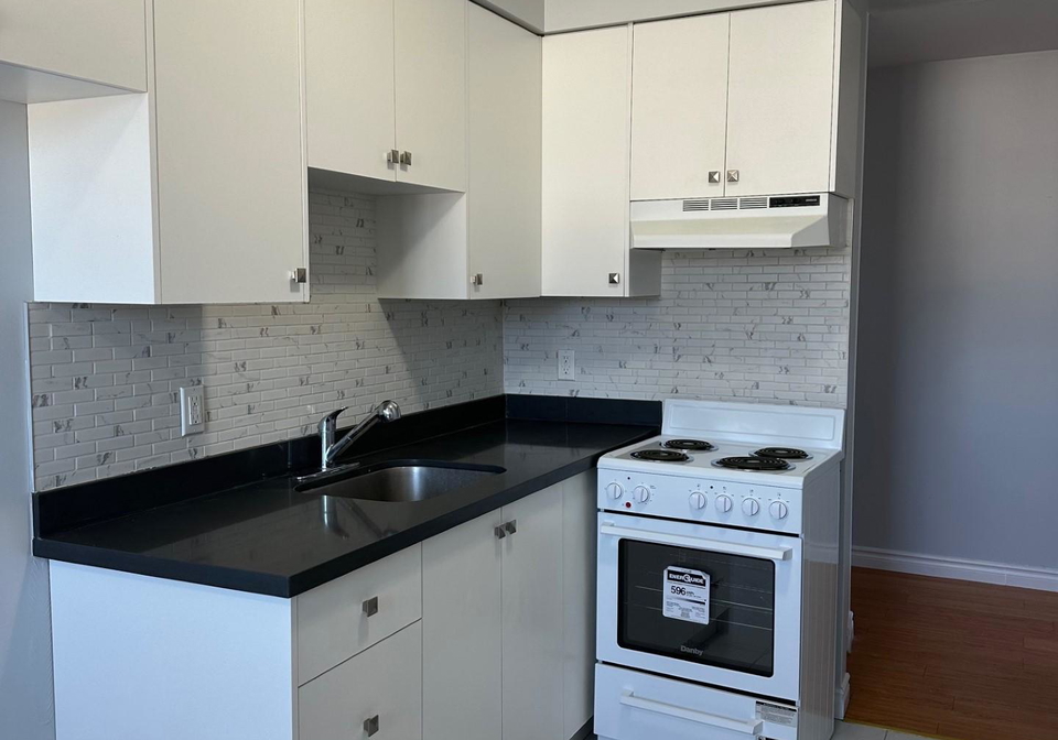 15-mowat-boulevard-kitchener-ontario-x13031180