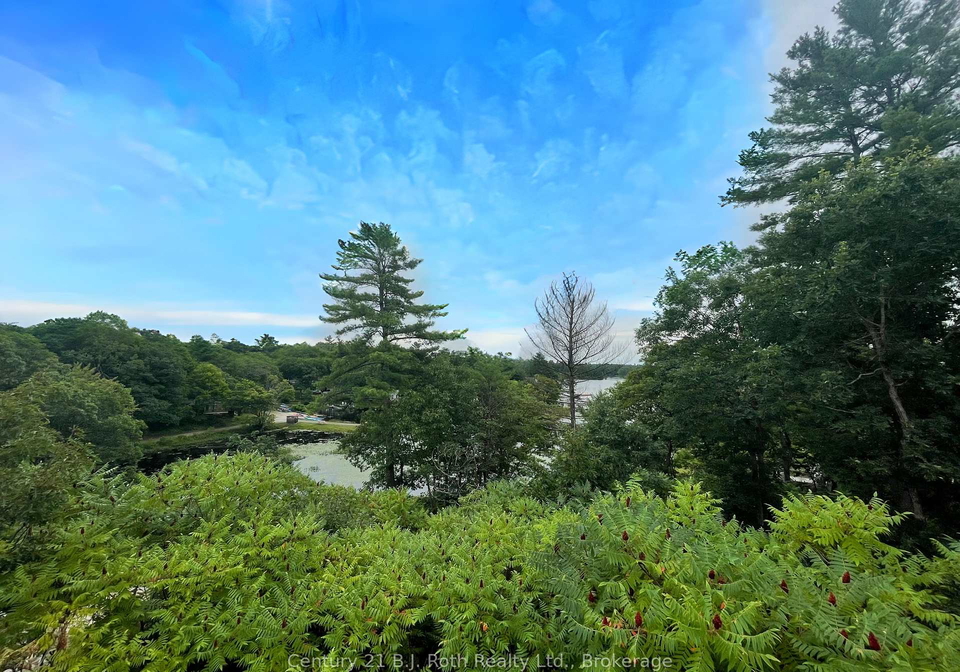 1336-south-morrison-lake-road-gravenhurst-ontario-x13031532