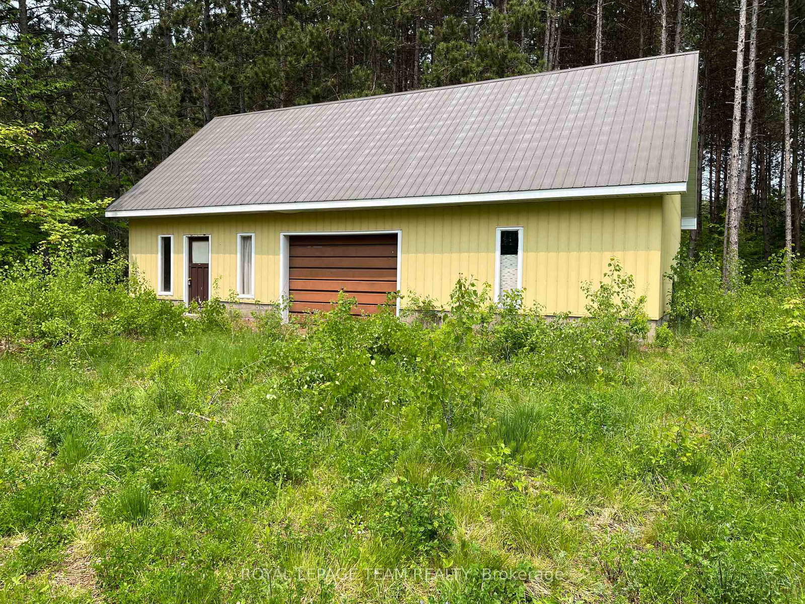 18500-highway-60-highway-madawaska-valley-ontario-x13034654