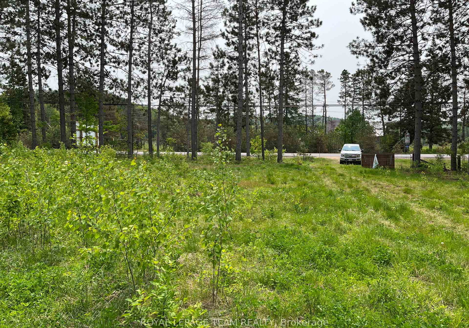 18500-highway-60-highway-madawaska-valley-ontario-x13034654