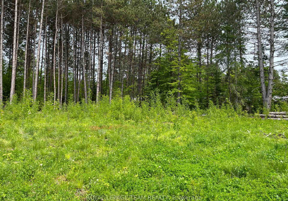 18500-highway-60-highway-madawaska-valley-ontario-x13034654