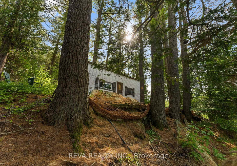 35532-highway-28-highway-carlowmayo-ontario-x13037062