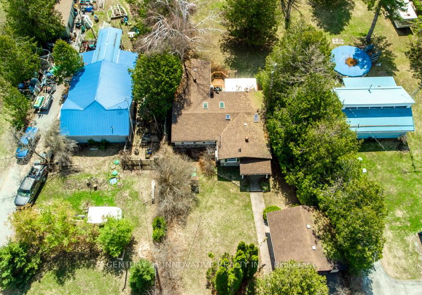 159-mcguire-beach-road-kawartha-lakes-ontario-x13037768