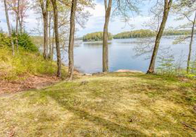 787-sherbrooke-drive-frontenac-ontario-x13038262