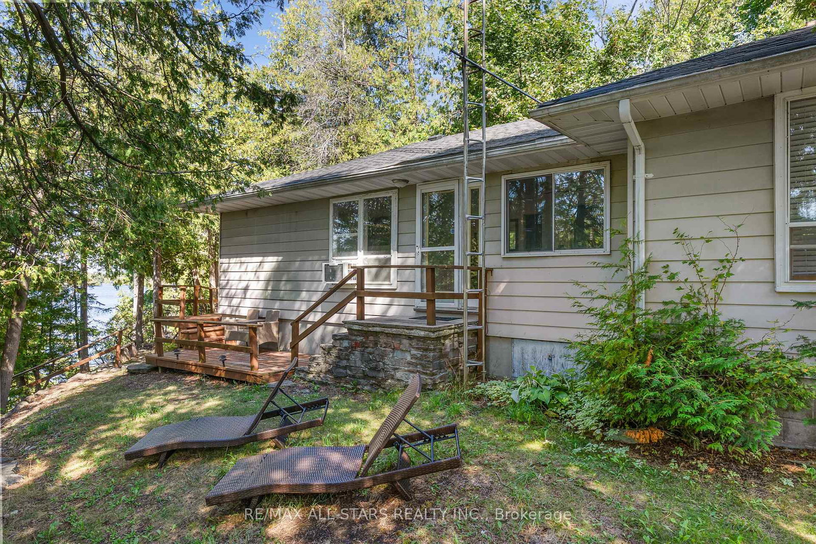 242-francis-street-e-kawartha-lakes-ontario-x13046848