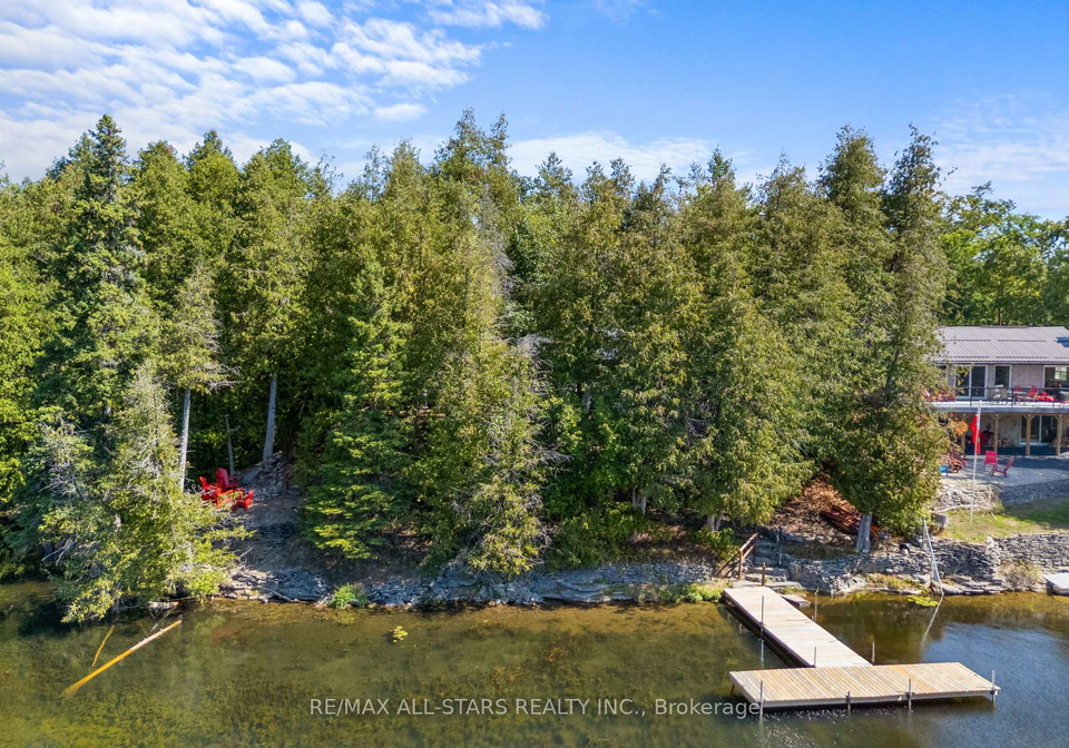 242-francis-street-e-kawartha-lakes-ontario-x13046848