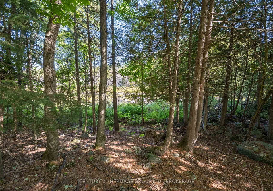 108-queen-street-tweed-ontario-x13046996