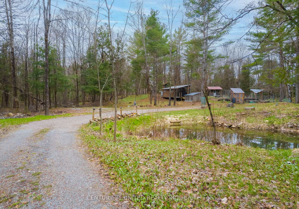 0-near-bannockburn-road-madoc-ontario-x13049196