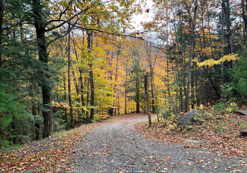 1311-s-ril-lake-road-lake-of-bays-ontario-x13052448