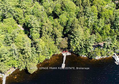 119-fire-route-242-trent-lakes-ontario-x13052932