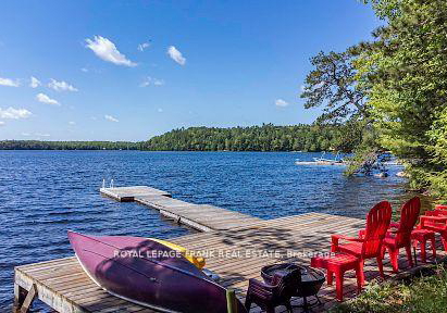 119-fire-route-242-trent-lakes-ontario-x13052932