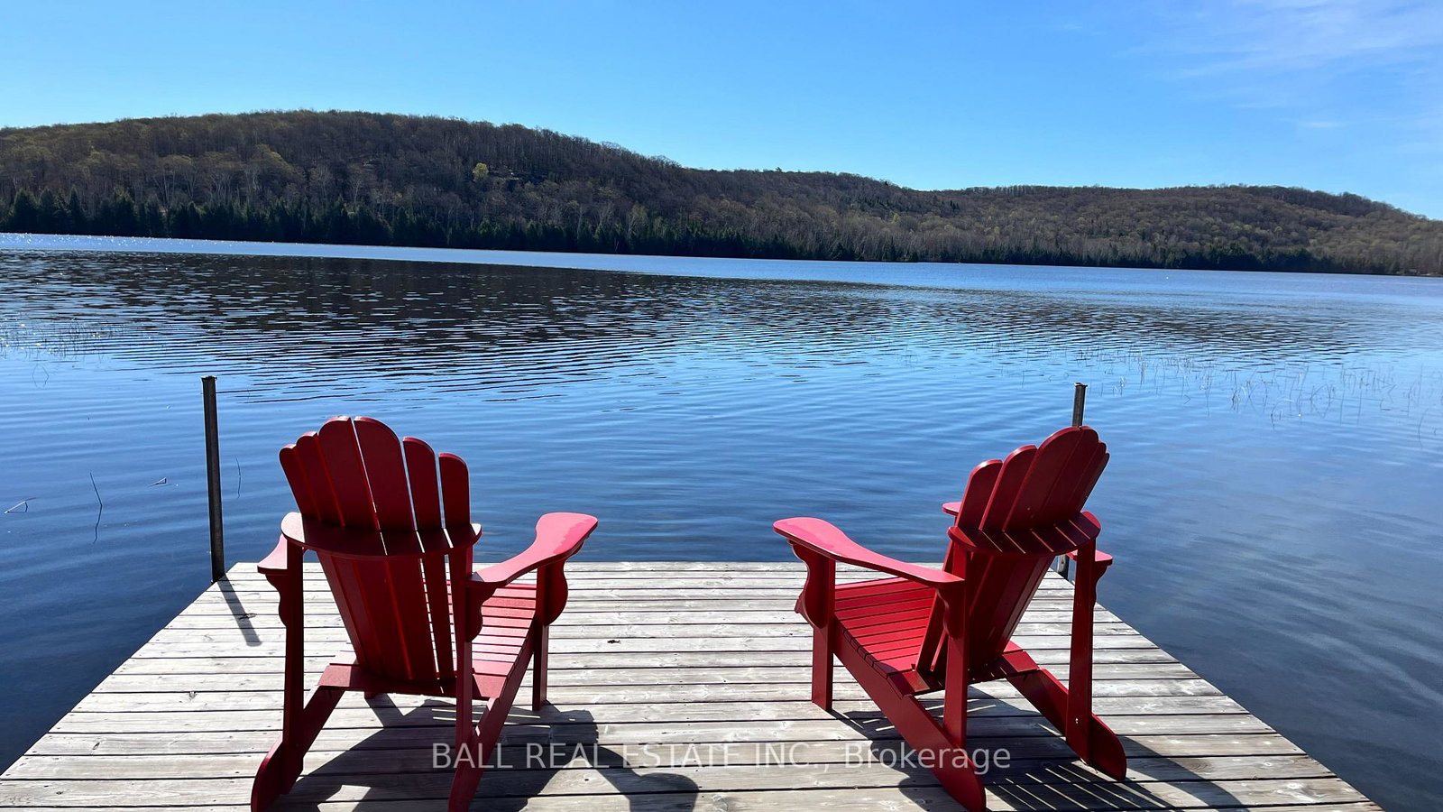 294-albion-lake-drive-faraday-ontario-x13053012