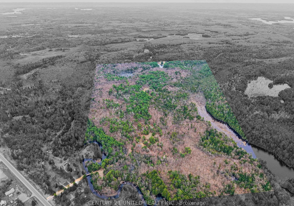 9559-hwy-28-north-kawartha-ontario-x13054270