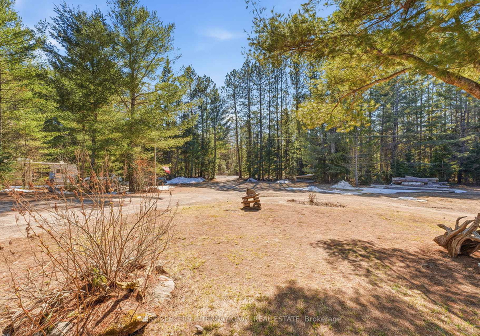 3184-ravenscliffe-road-huntsville-ontario-x13056794